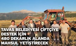 Tavas Belediyesi çiftçiye destek için 480 dekarlık alanda mahsul yetiştirecek