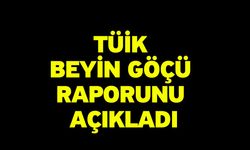 TÜİK Beyin Göçü Raporunu Açıkladı