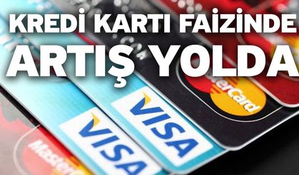 Kredi kartı faizinde artış yolda