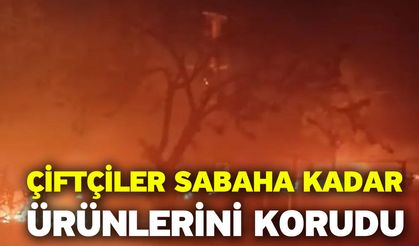 Çiftçiler sabaha kadar ürünlerini korudu