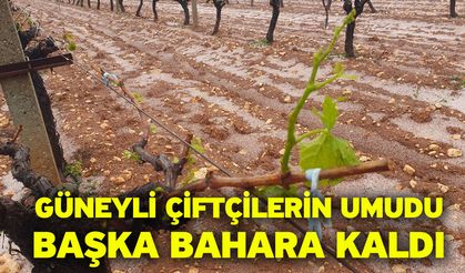 Güneyli çiftçilerin umudu başka bahara kaldı