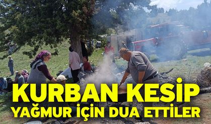 Kurban kesip yağmur için dua ettiler
