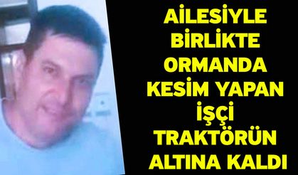 Ailesiyle birlikte ormanda kesim yapan işçi traktörün altına kaldı