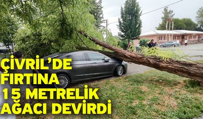 Çivril’de fırtına 15 metrelik ağacı devirdi