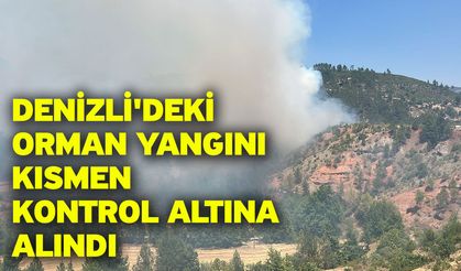 Denizli'deki orman yangını kısmen kontrol altına alındı