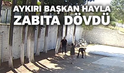 Aykırı Başkan Hayla Zabıta Dövdü
