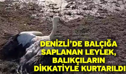 Denizli’de Balçığa Saplanan Leylek, Balıkçıların Dikkatiyle Kurtarıldı