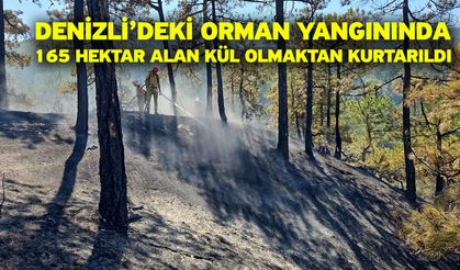 Denizli’deki orman yangınında 165 hektar alan kül olmaktan kurtarıldı