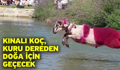 Kınalı Koç, Kuru Dereden Doğa İçin Geçecek