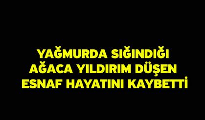 Yağmurda sığındığı ağaca yıldırım düşen esnaf hayatını kaybetti