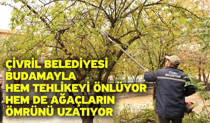 Çivril Belediyesi budamayla hem tehlikeyi önlüyor hem de ağaçların ömrünü uzatıyor