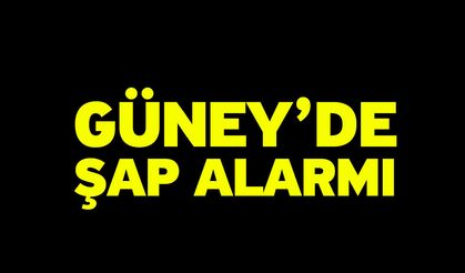 Güney’de Şap Alarmı