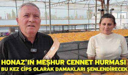 Honaz’ın meşhur cennet hurması bu kez cips olarak damakları şenlendirecek