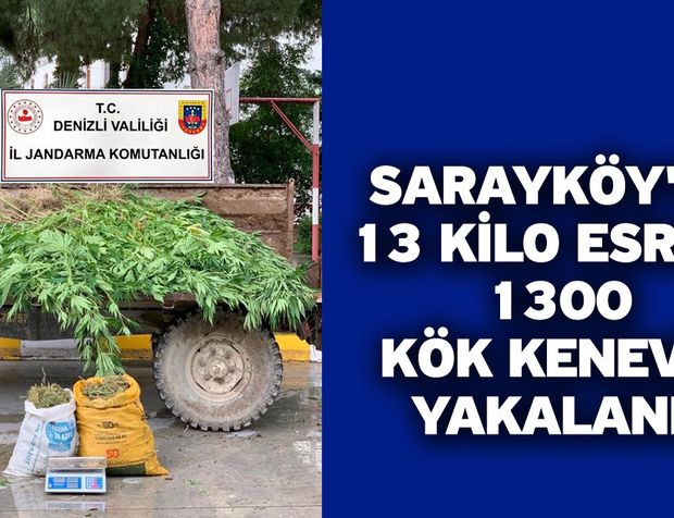 Sarayköy'de 13 kilo esrar, 1300 kök kenevir yakalandı