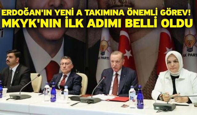 Erdoğan'ın yeni A takımına önemli görev! MKYK'nın ilk adımı belli oldu