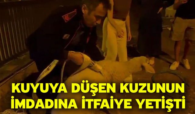 Kuyuya düşen kuzunun imdadına itfaiye yetişti