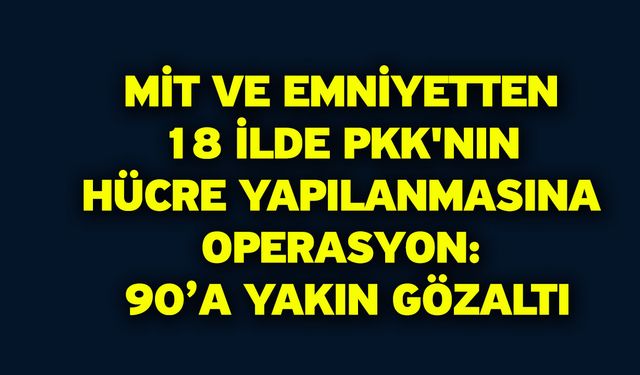 MİT Ve Emniyetten 18 İlde PKK'nın Hücre Yapılanmasına Operasyon: 90’a Yakın Gözaltı