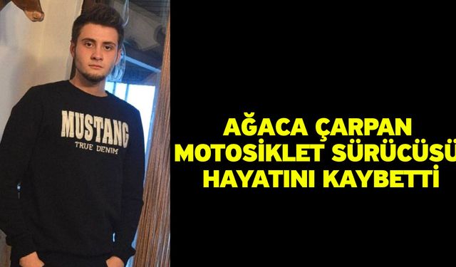 Ağaca çarpan motosiklet sürücüsü hayatını kaybetti