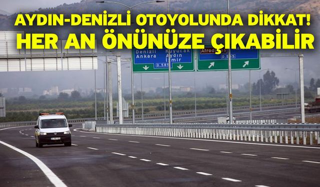 Aydın-Denizli otoyolunda dikkat! Her an önünüze çıkabilir