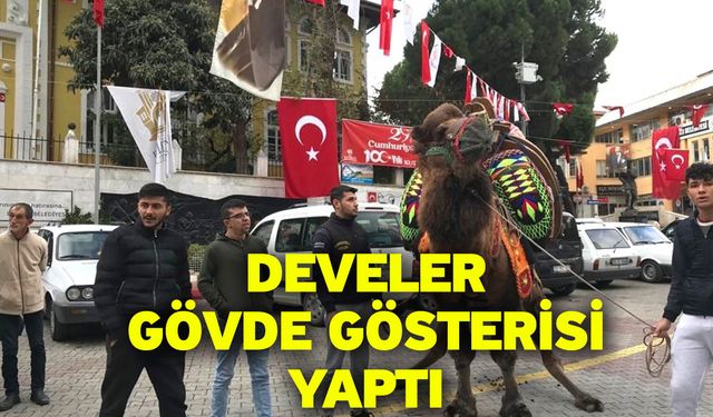 Develer gövde gösterisi yaptı