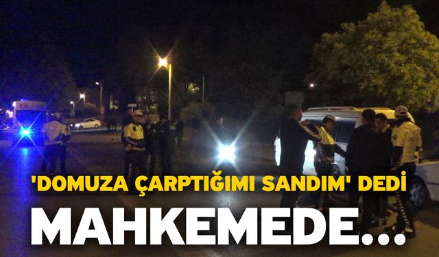 'Domuza çarptığımı sandım' dedi, mahkemede..