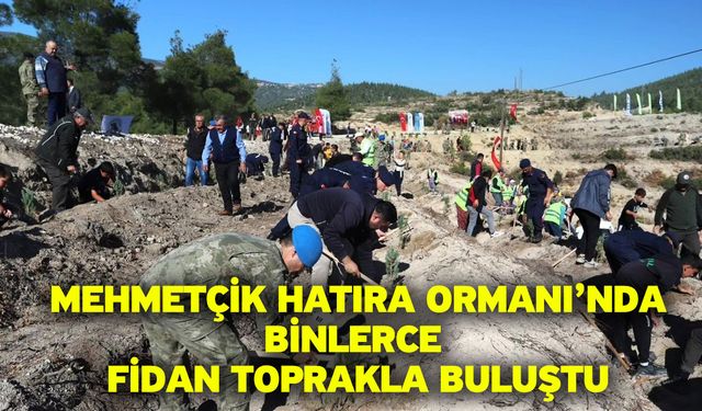 Mehmetçik Hatıra Ormanı’nda binlerce fidan toprakla buluştu