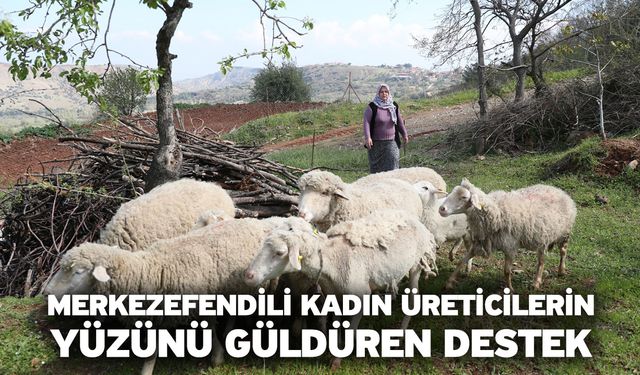 Merkezefendili Kadın Üreticilerin Yüzünü Güldüren Destek