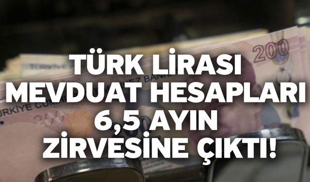 Türk Lirası mevduat hesapları 6,5 ayın zirvesine çıktı!