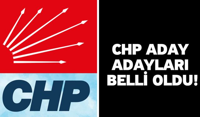 CHP aday adayları belli oldu!