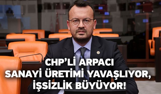 CHP’li Arpacı: Sanayi Üretimi Yavaşlıyor, İşsizlik Büyüyor!