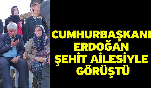 Cumhurbaşkanı Erdoğan şehit ailesiyle görüştü