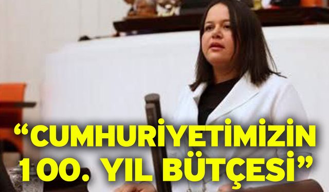 “Cumhuriyetimizin 100. Yıl bütçesi”