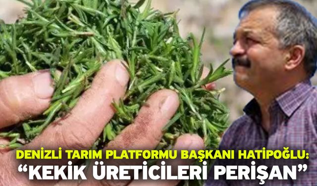 Denizli Tarım Platformu Başkanı Hatipoğlu: “Kekik üreticileri perişan”