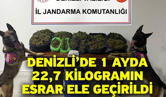 Denizli’de 1 Ayda 22,7 Kilogramın Esrar Ele Geçirildi