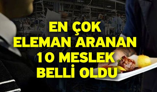 En Çok Eleman Aranan 10 Meslek Belli Oldu