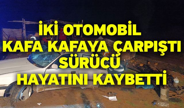 İki otomobil kafa kafaya çarpıştı! Sürücü hayatını kaybetti