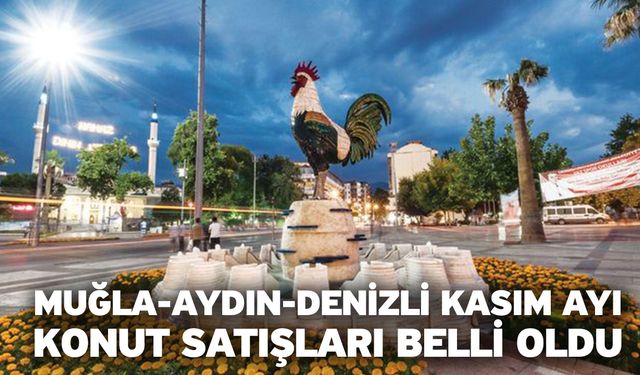 Muğla-Aydın-Denizli Kasım Ayı Konut Satışları Belli Oldu