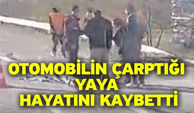 Otomobilin çarptığı yaya hayatını kaybetti