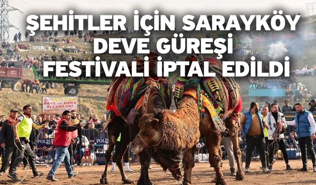 Şehitler için Sarayköy Deve Güreşi Festivali iptal edildi
