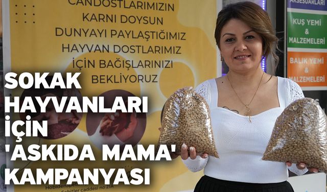 Sokak hayvanları için 'Askıda mama' kampanyası