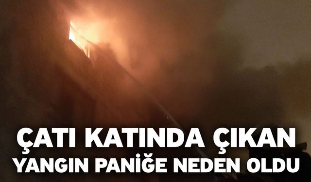 Çatı katında çıkan yangın paniğe neden oldu