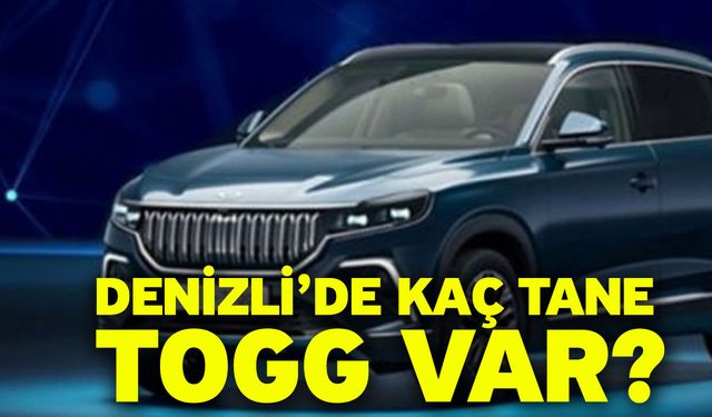 Denizli’de Kaç Tane TOGG var?