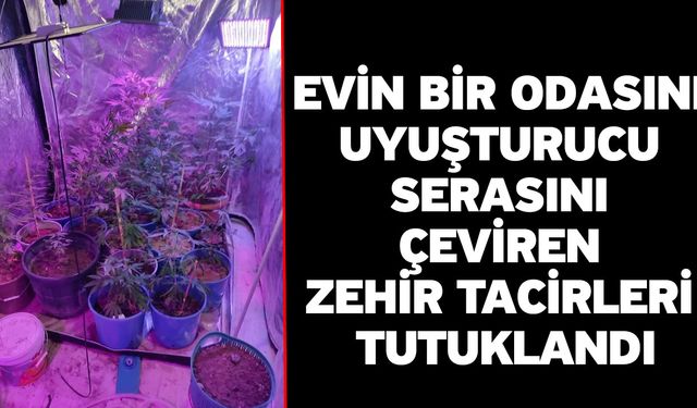 Evin Bir Odasını Uyuşturucu Serasını Çeviren Zehir Tacirleri Tutuklandı