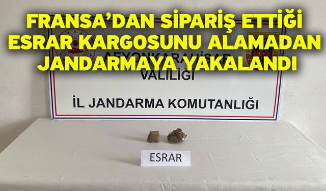 Fransa’dan sipariş ettiği esrar kargosunu alamadan jandarmaya yakalandı