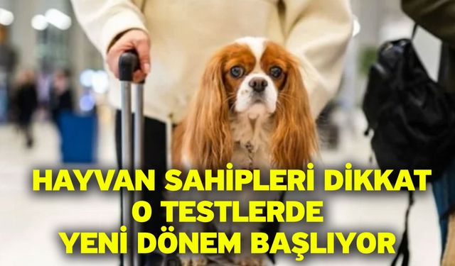 Hayvan sahipleri dikkat! O testlerde yeni dönem başlıyor