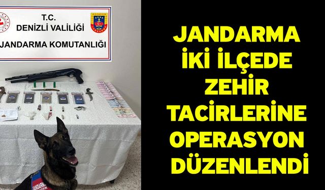 Jandarma iki ilçede zehir tacirlerine operasyon düzenlendi