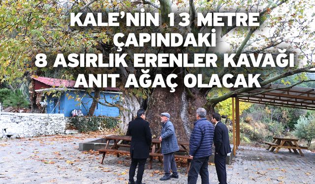 Kale’nin 13 metre çapındaki 8 asırlık Erenler Kavağı anıt ağaç olacak