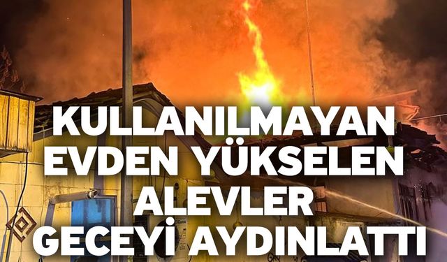 Kullanılmayan evden yükselen alevler geceyi aydınlattı