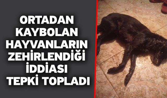 Ortadan kaybolan hayvanların zehirlendiği iddiası tepki topladı