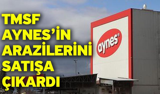 TMSF Aynes’in arazilerini satışa çıkardı